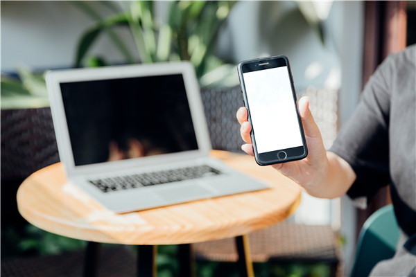 网上群发短信网页和软件对比