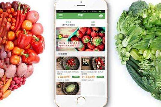 短信群发软件助力生鲜电商推广